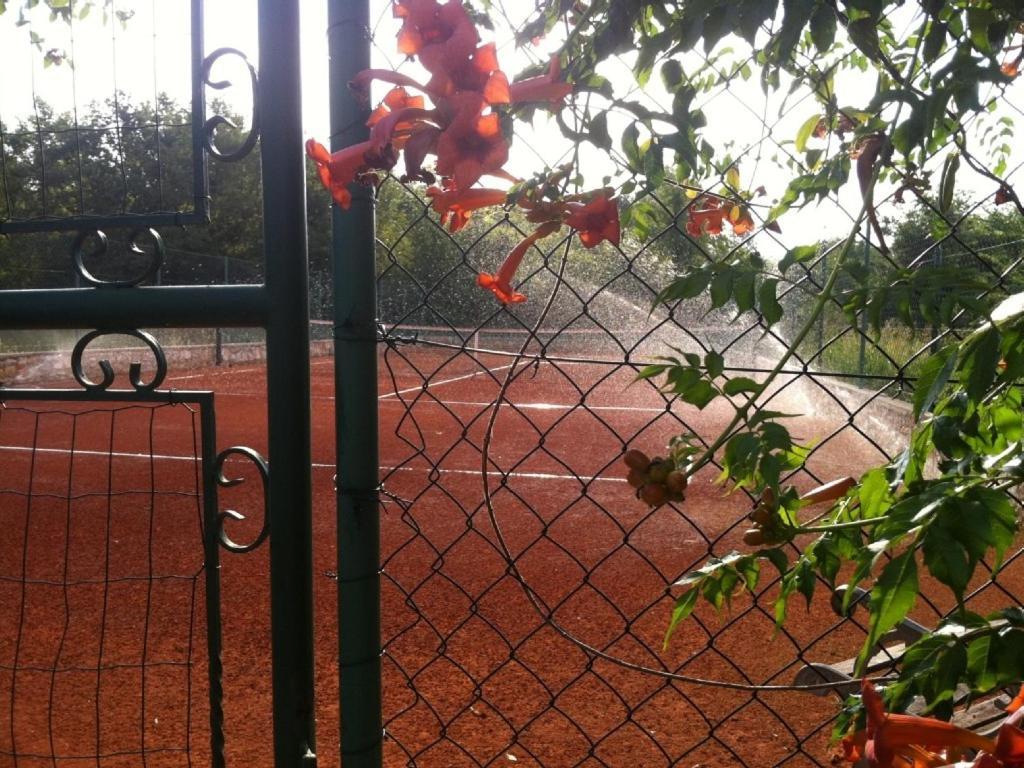 Villa In Funtana With Private Tenniscourt エクステリア 写真